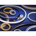 Spring Energized PTFE Seals